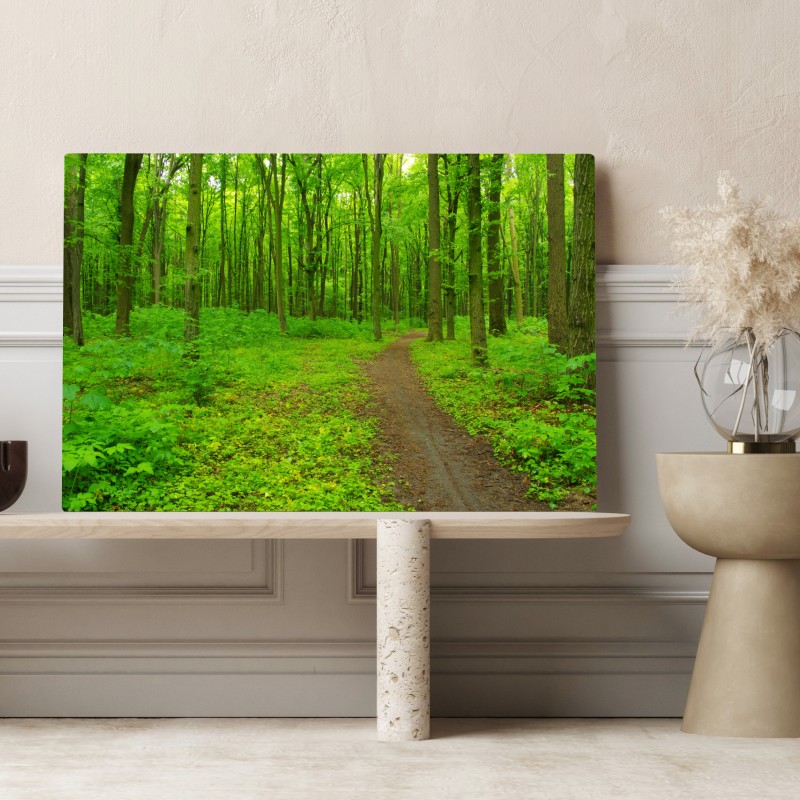 Obraz na płótnie spokojna zielona leśna ścieżka – Wallissimo® Obraz na płótnie spokojna zielona leśna ścieżka – Wallissimo®