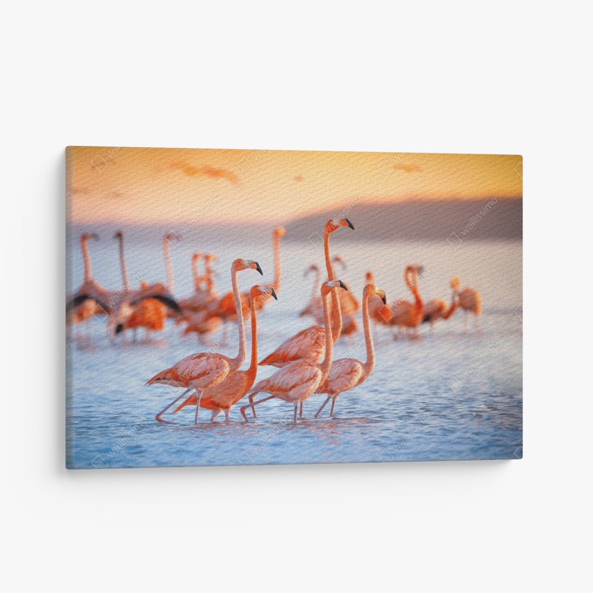 Canvas print pink flamingos at sunset