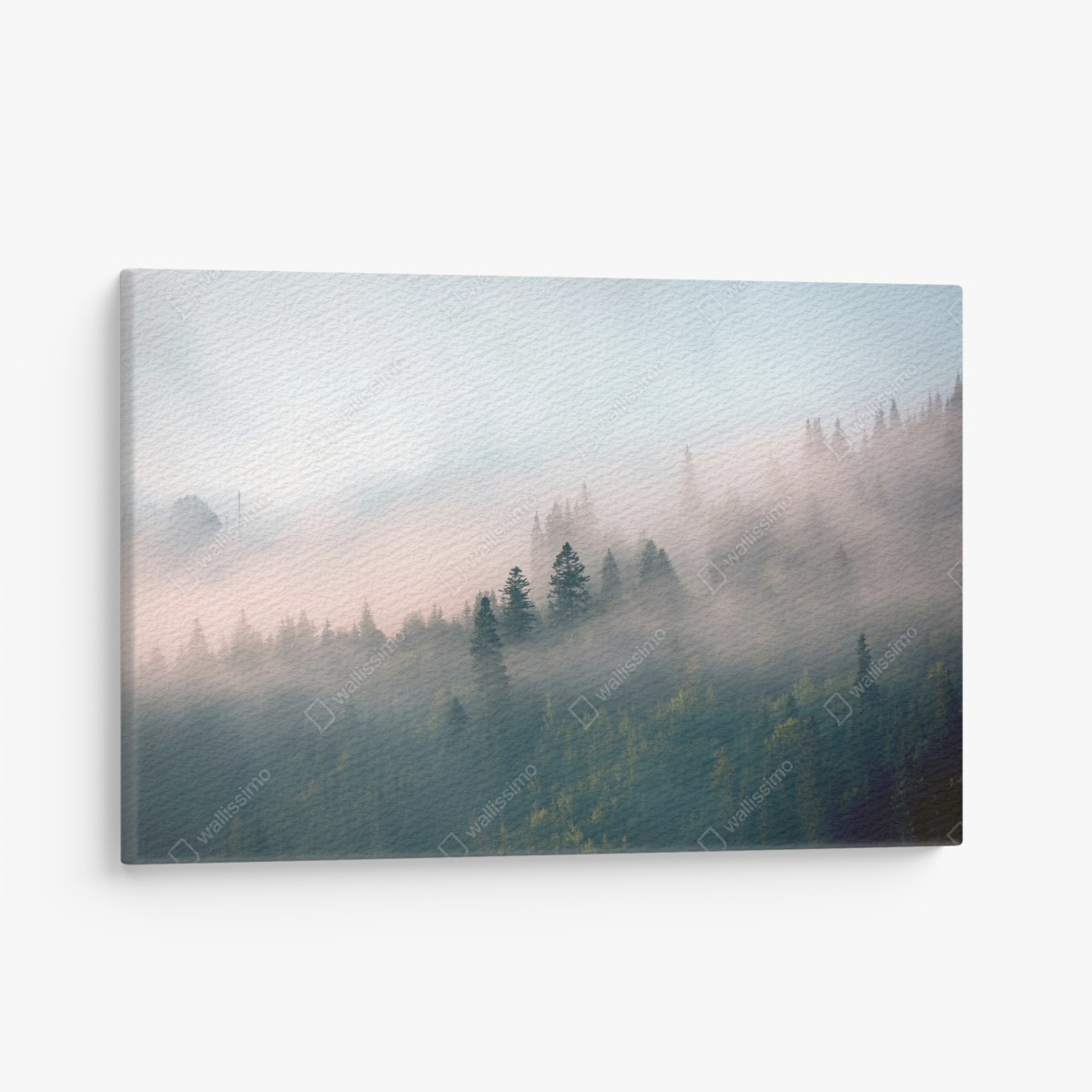 Canvas print misty morning forest landscape