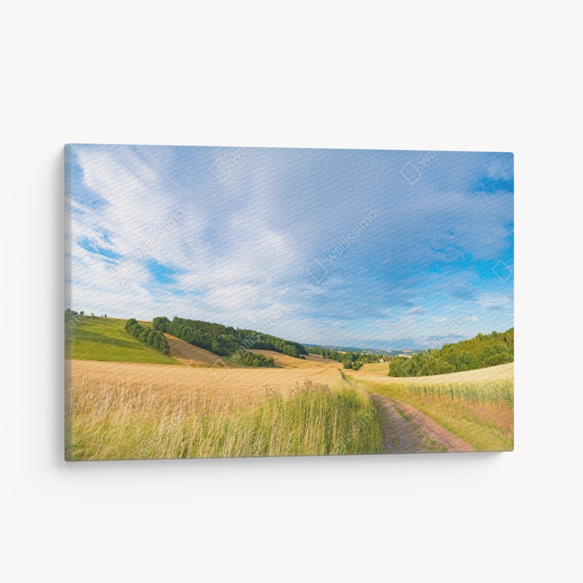 Canvas print morning wheat panorama in Kansas