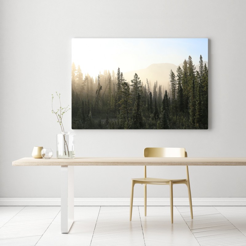 Obraz na płótnie mglisty las sosnowy o wschodzie słońca – Wallissimo® Obraz na płótnie mglisty las sosnowy o wschodzie słońca – Wallissimo®