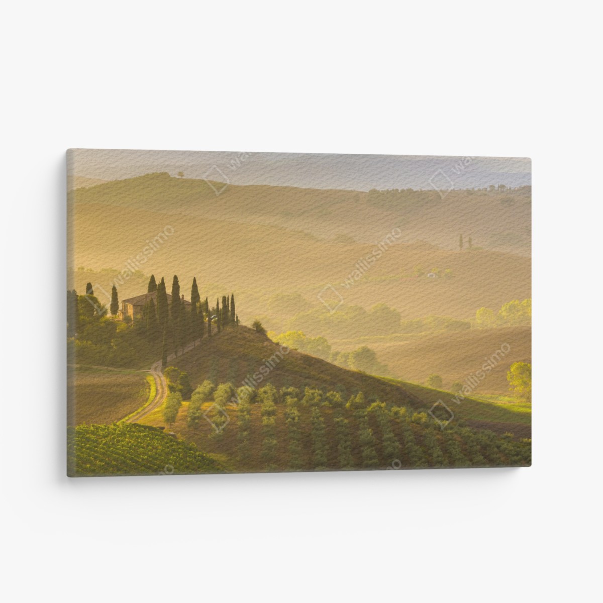 Canvas print misty morning over Val d'Orcia