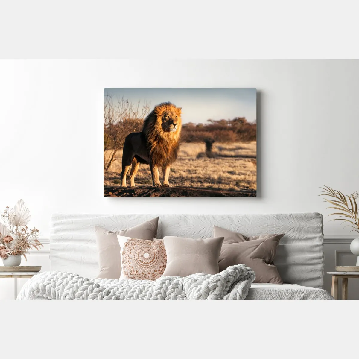 Obraz na płótnie władczy lew na sawannie – Wallissimo® Obraz na płótnie władczy lew na sawannie – Wallissimo®