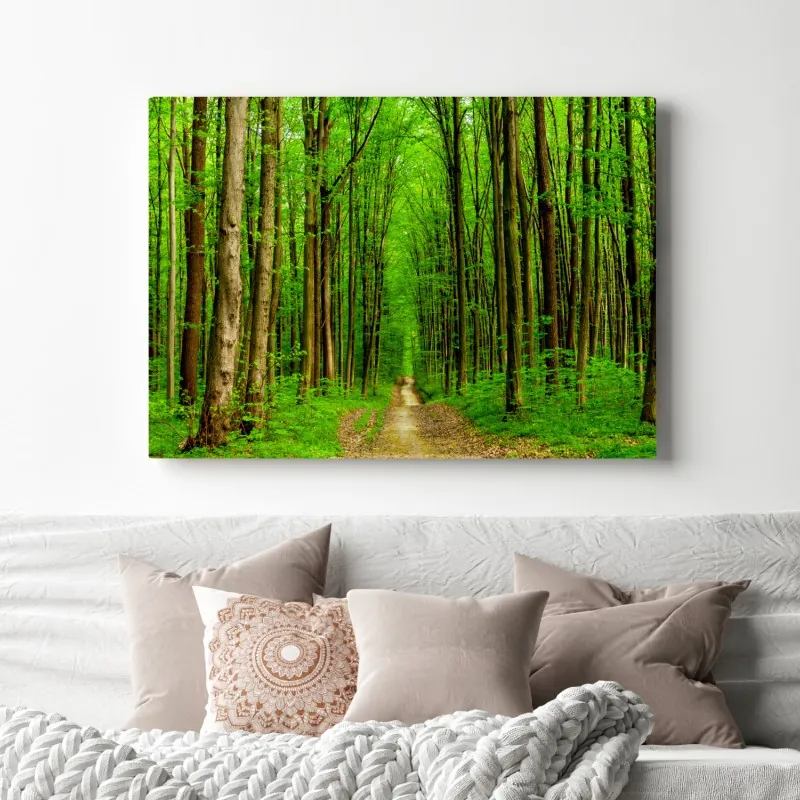 Obraz na płótnie zielona leśna ścieżka wiosną – Wallissimo® Obraz na płótnie zielona leśna ścieżka wiosną – Wallissimo®