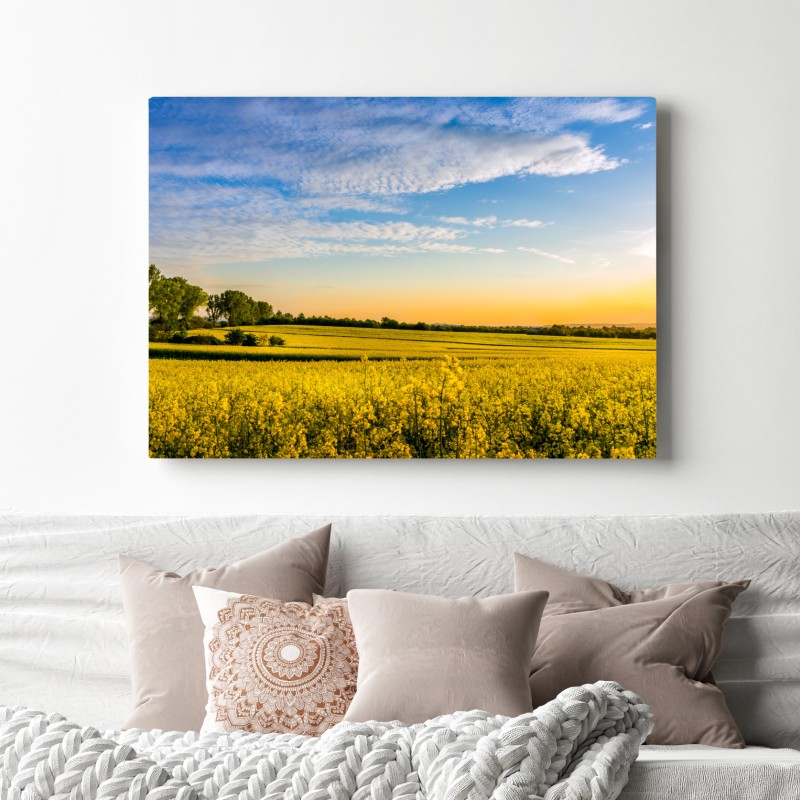 Obraz na płótnie słoneczne pole rzepaku o zachodzie słońca – Wallissimo® Obraz na płótnie słoneczne pole rzepaku o zachodzie słońca – Wallissimo®