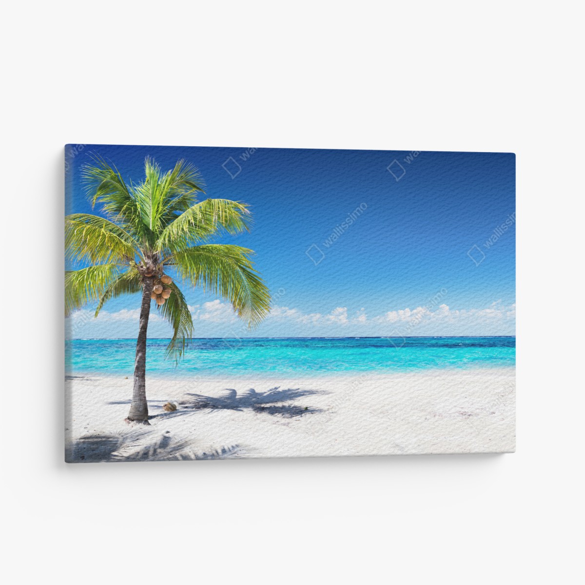 Canvas print tropical palm on a turquoise beach