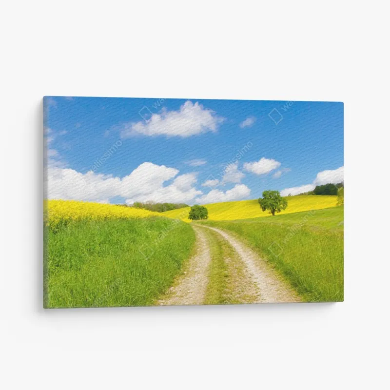 Obraz na płótnie słoneczna wiejska droga przez żółte pola
