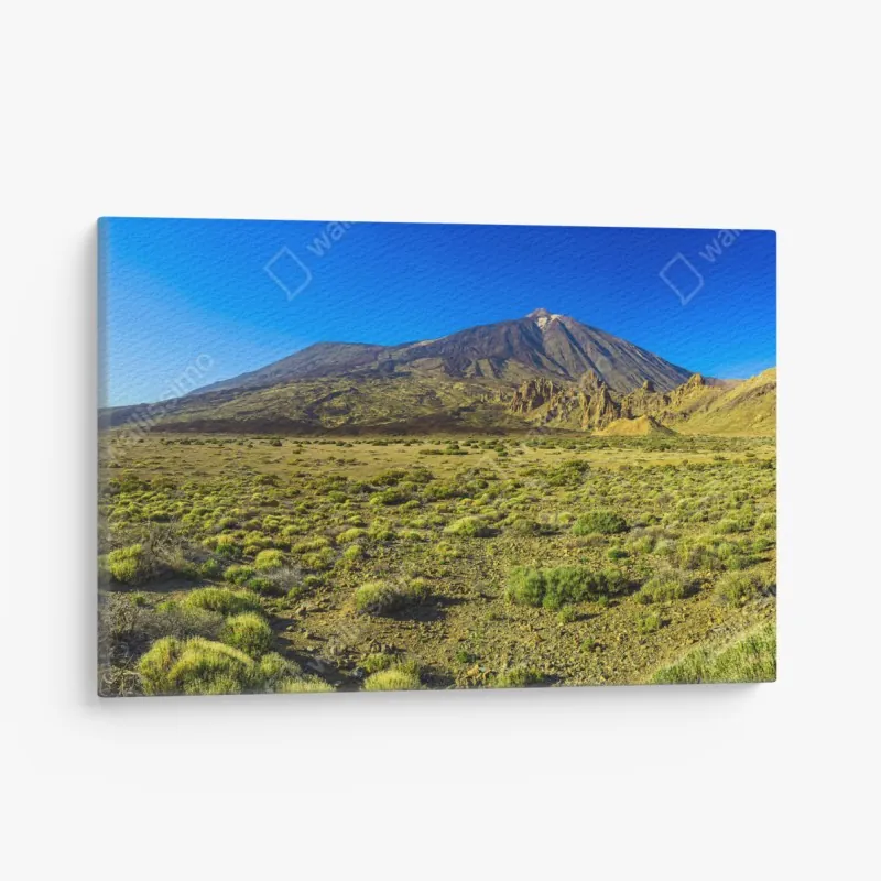 Obraz na płótnie zielony tunel drzew – Wallissimo®