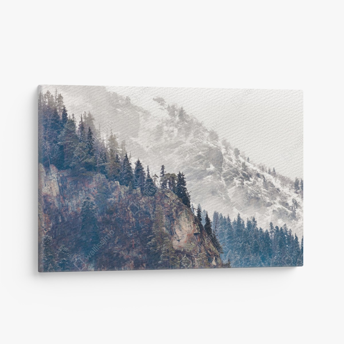 Canvas print misty mountain cliff with pine forest
