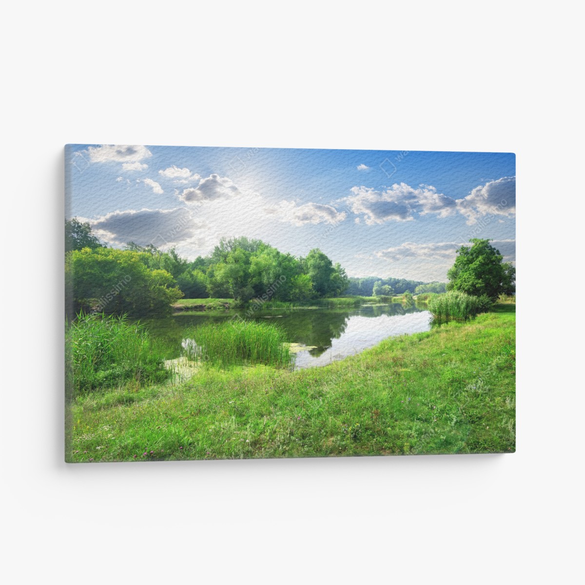 Canvas print sunlit riverside meadow