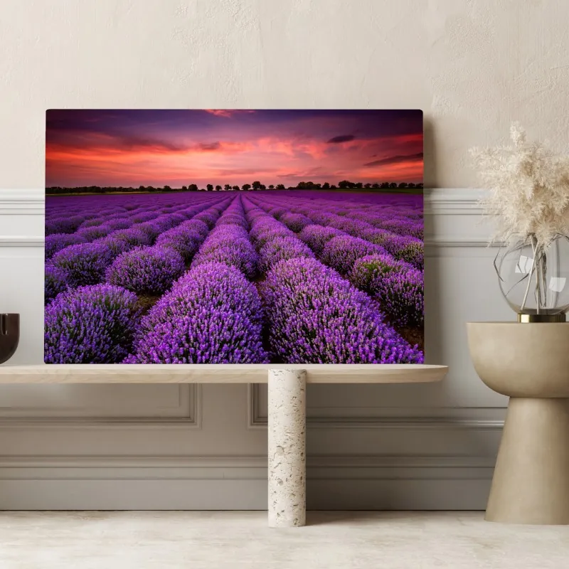 Obraz na płótnie pole lawendy o zachodzie słońca – Wallissimo® Obraz na płótnie pole lawendy o zachodzie słońca – Wallissimo®