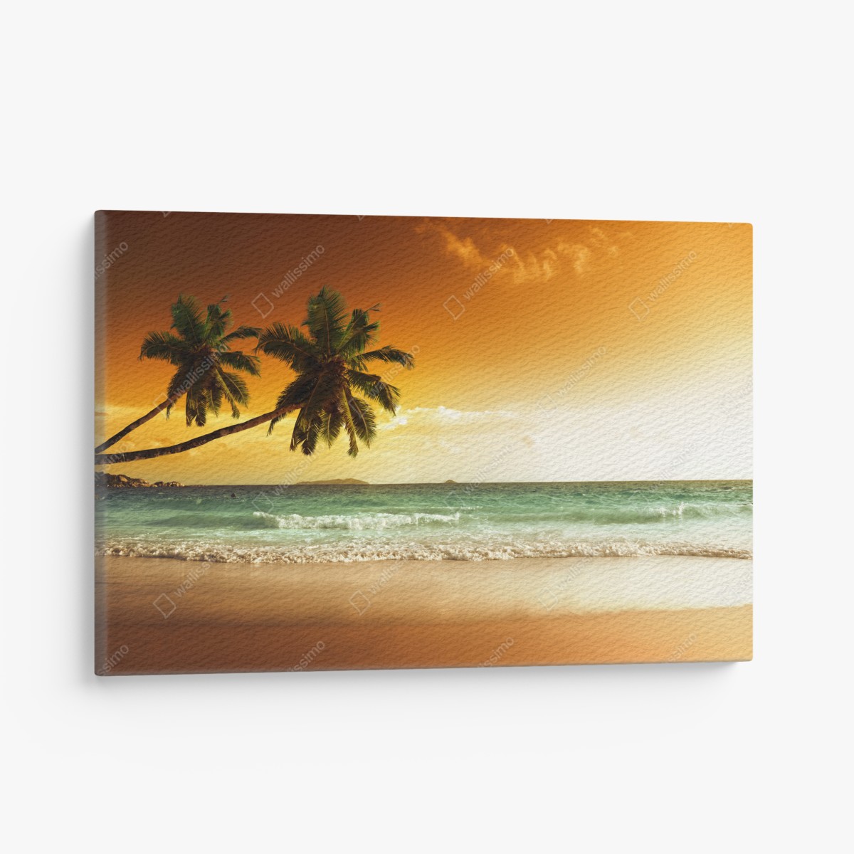Canvas print Caribbean sunset beach with palm trees