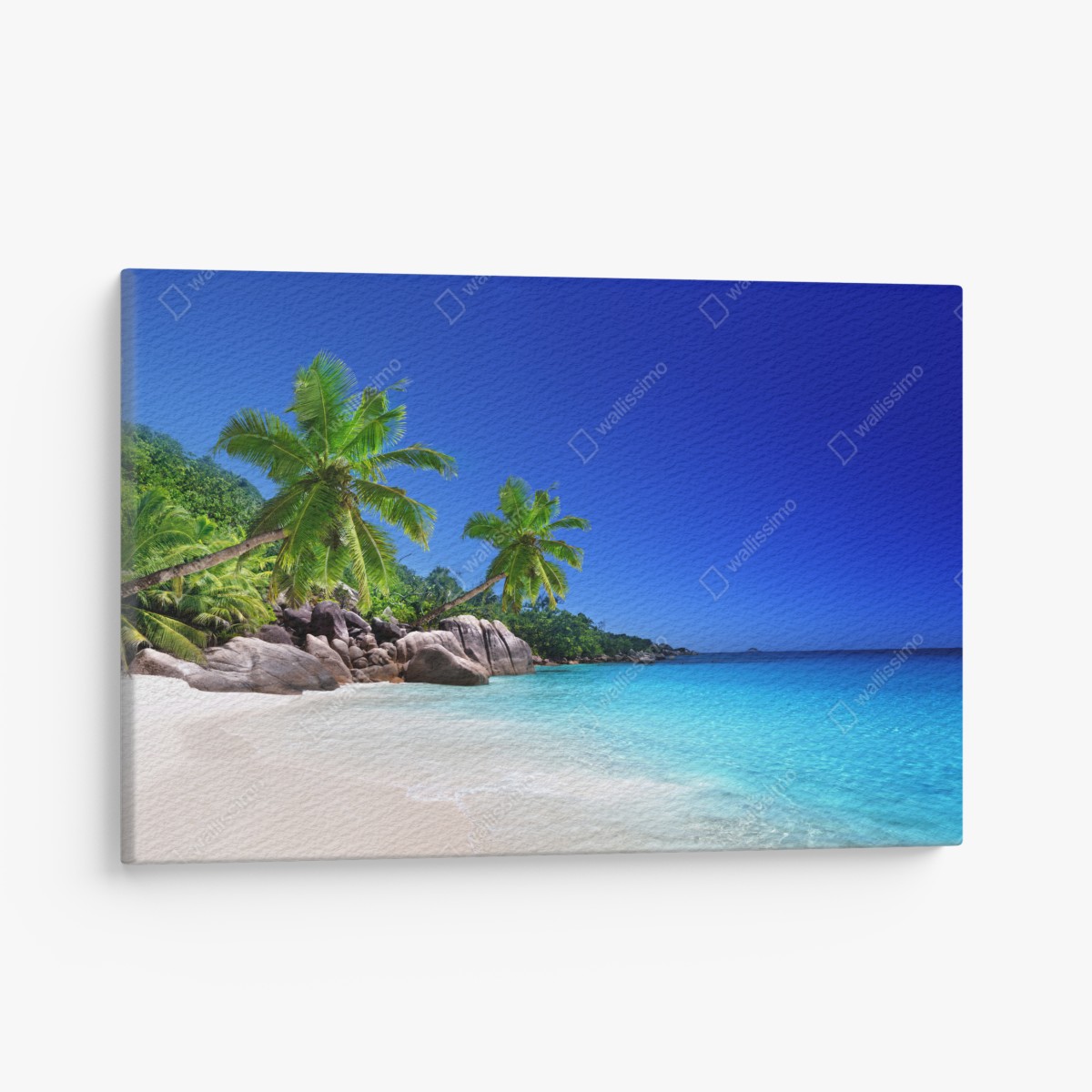 Canvas print tropical turquoise beach with palm trees