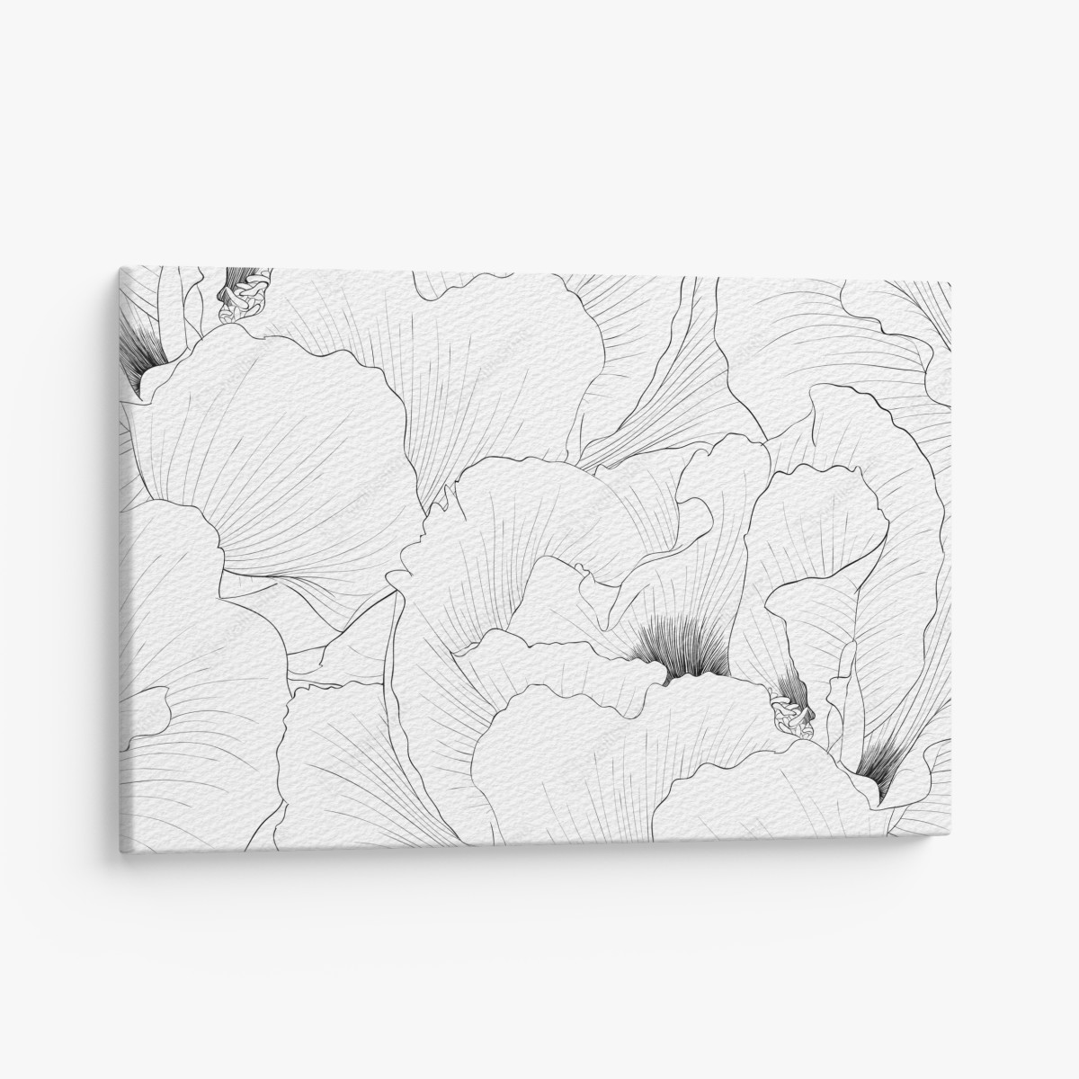 Canvas print delicate botanical line art floral pattern
