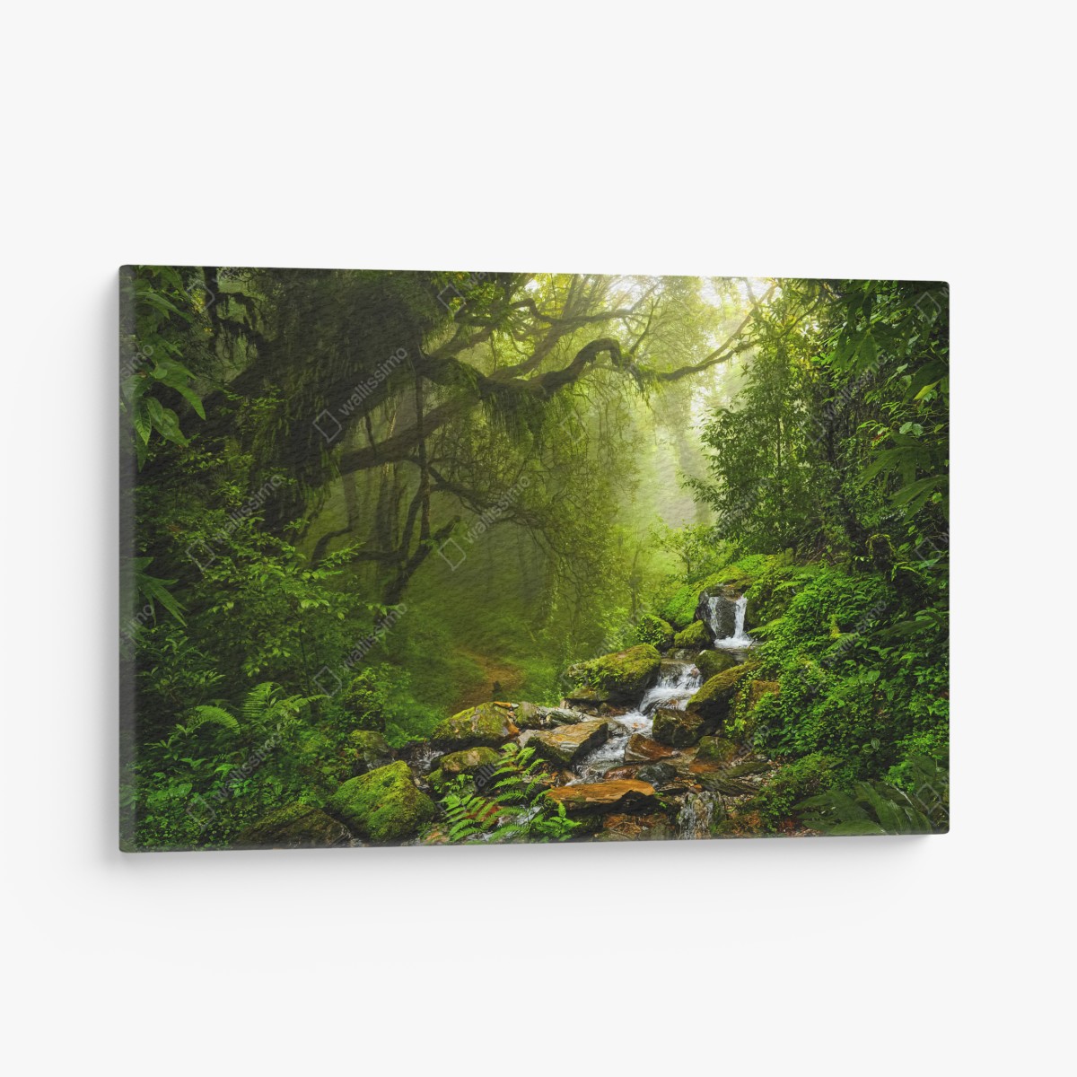 Canvas print lush misty forest waterfall
