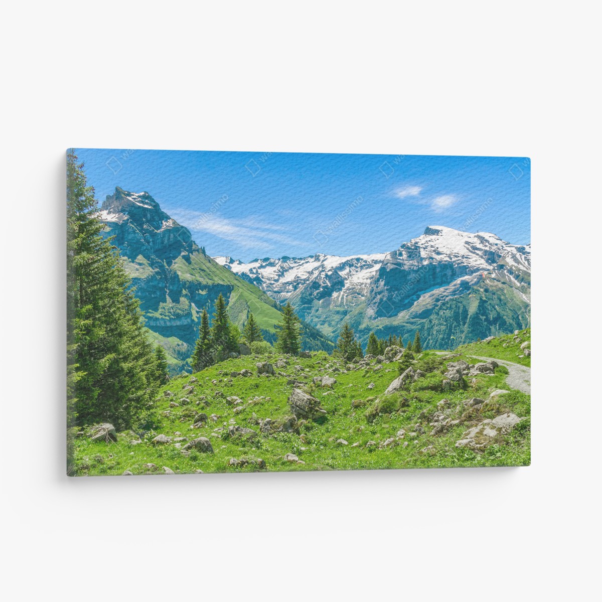 Canvas print sunlit alpine meadow in Engelberg