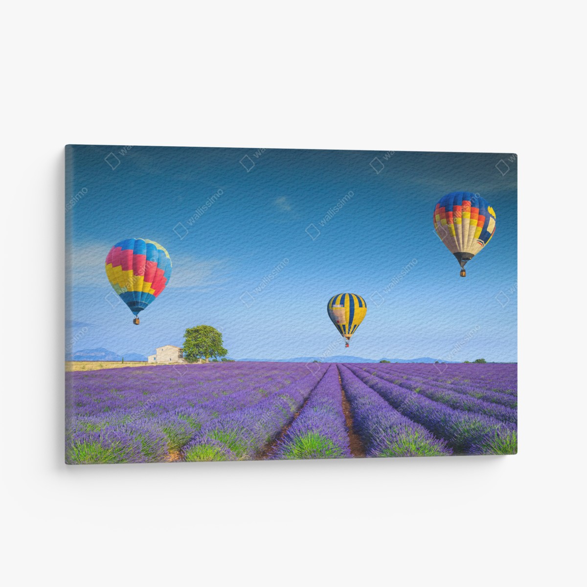 Canvas print lavender fields near Valensole with hot air balloons