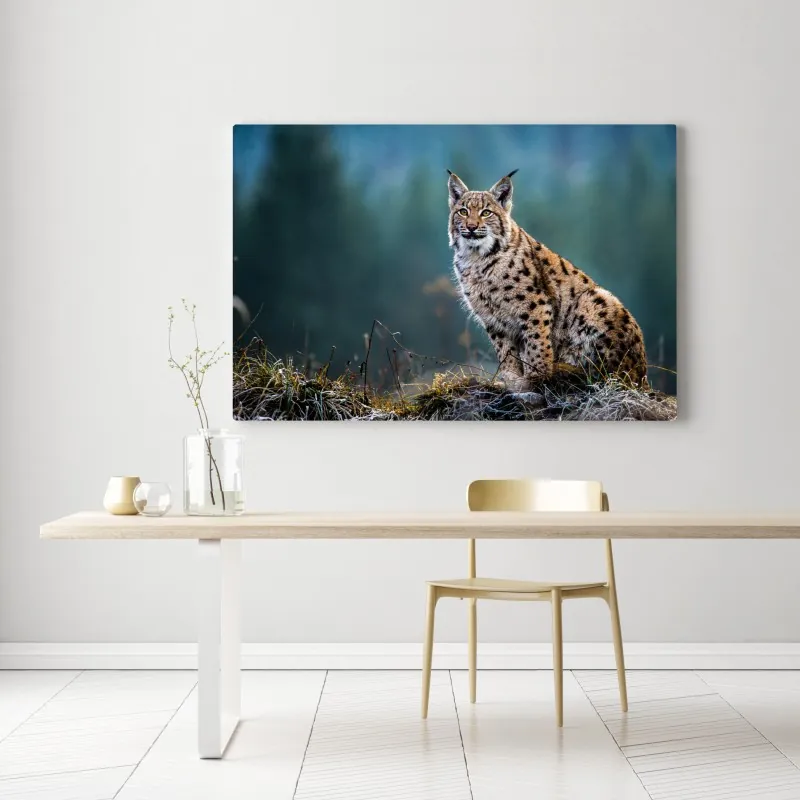 Obraz na płótnie majestatyczny ryś w naturalnym środowisku – Wallissimo® Obraz na płótnie majestatyczny ryś w naturalnym środowisku – Wallissimo®