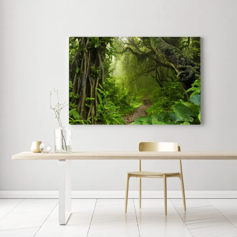 Obraz na płótnie bujna mglista leśna ścieżka – Wallissimo® Obraz na płótnie bujna mglista leśna ścieżka – Wallissimo®