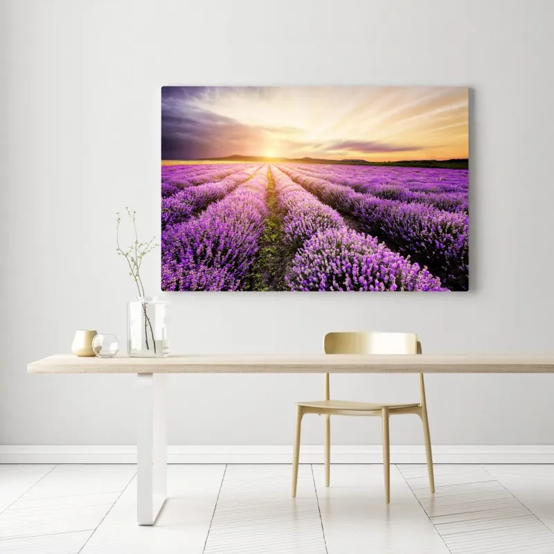 Obraz na płótnie wschód słońca nad polami lawendy – Wallissimo® Obraz na płótnie wschód słońca nad polami lawendy – Wallissimo®