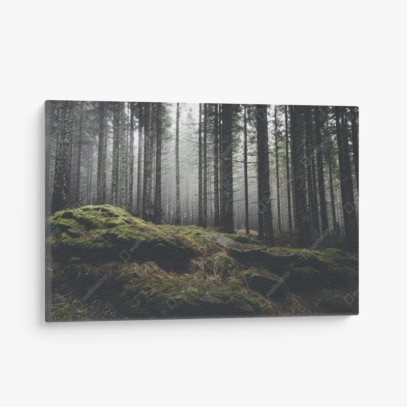 Obraz na płótnie żywy niebieski bukiet irysów – Wallissimo®