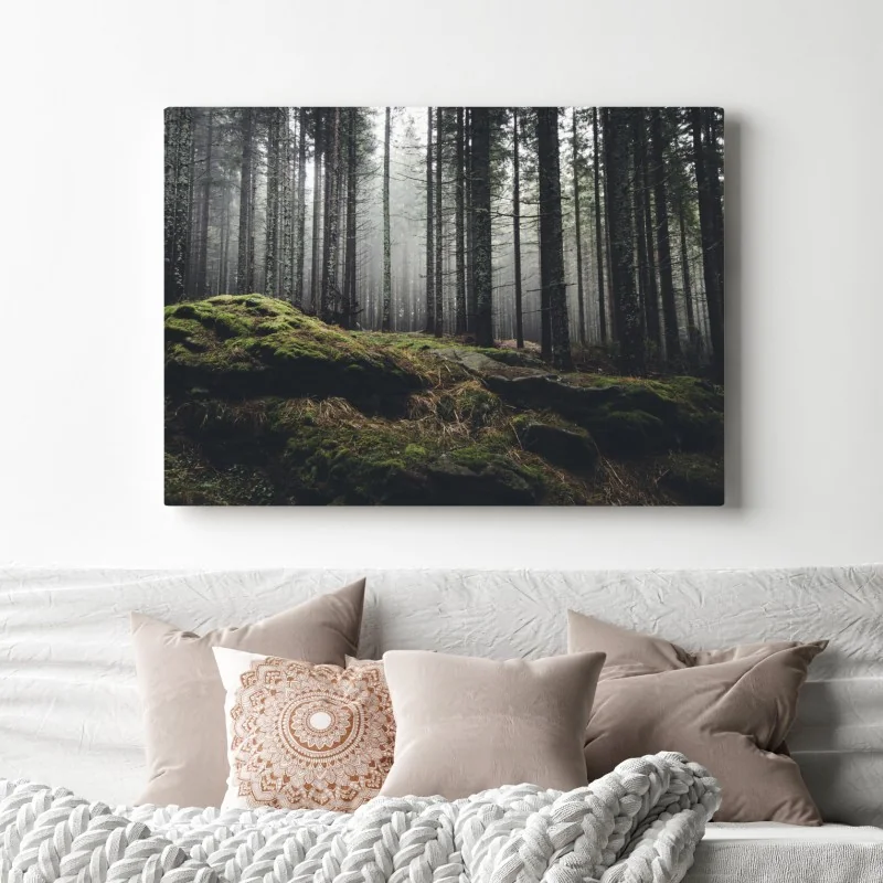 Obraz na płótnie mglisty las porośnięty mchem – Wallissimo® Obraz na płótnie mglisty las porośnięty mchem – Wallissimo®