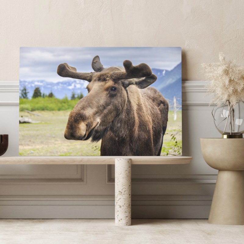 Obraz na płótnie portret łosia na tle gór – Wallissimo® Obraz na płótnie portret łosia na tle gór – Wallissimo®