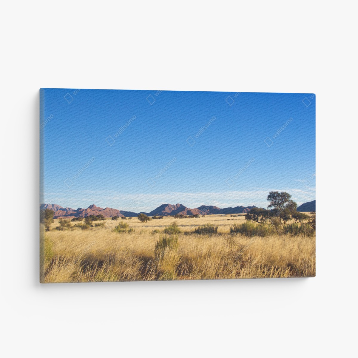 Canvas print serene savanna landscape under a clear blue sky