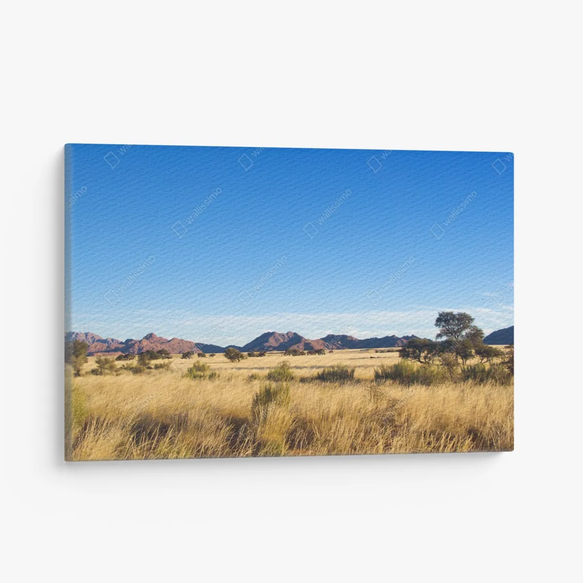 Obraz na płótnie spokojny krajobraz sawanny pod bezchmurnym niebem – Wallissimo® Obraz na płótnie spokojny krajobraz sawanny pod bezchmurnym niebem – Wallissimo®