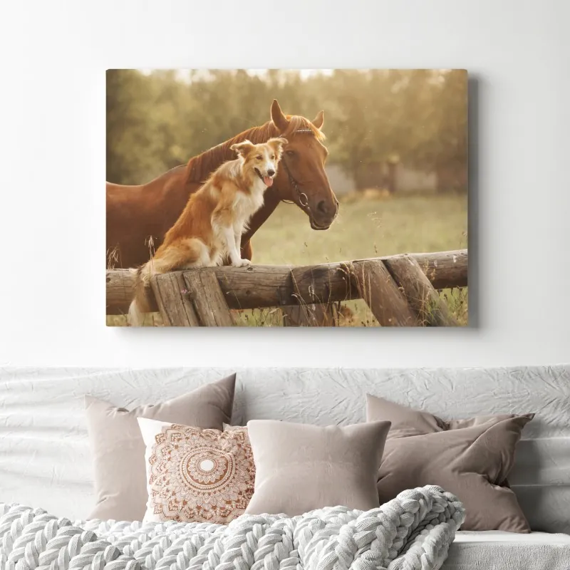 Obraz na płótnie słoneczni towarzysze: pies i koń – Wallissimo® Obraz na płótnie słoneczni towarzysze: pies i koń – Wallissimo®