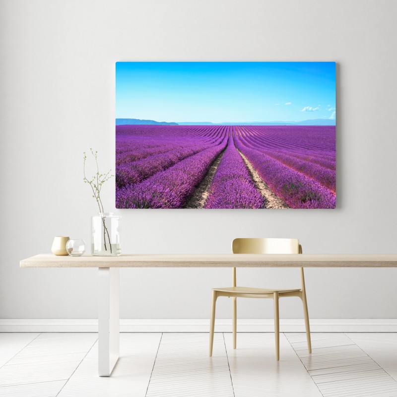 Obraz na płótnie pola lawendy pod błękitnym niebem – Wallissimo® Obraz na płótnie pola lawendy pod błękitnym niebem – Wallissimo®