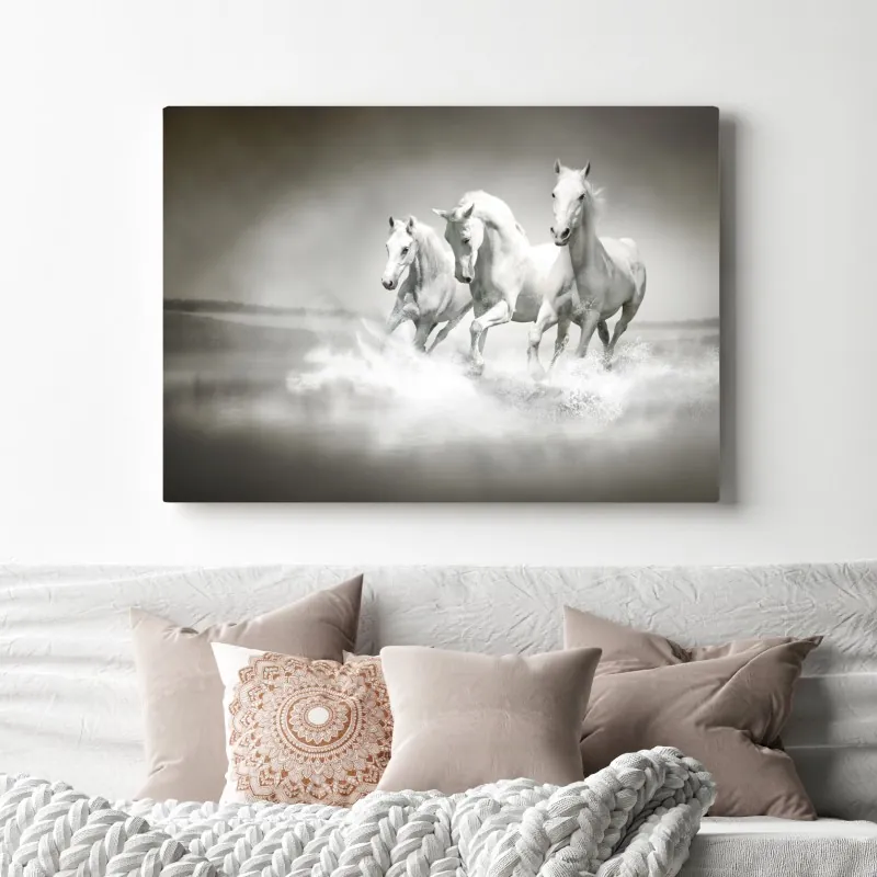 Obraz na płótnie trzy białe konie galopujące przez wodę – Wallissimo® Obraz na płótnie trzy białe konie galopujące przez wodę – Wallissimo®