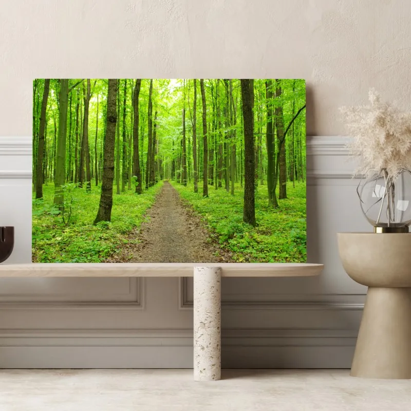 Obraz na płótnie spokojna zielona ścieżka w lesie