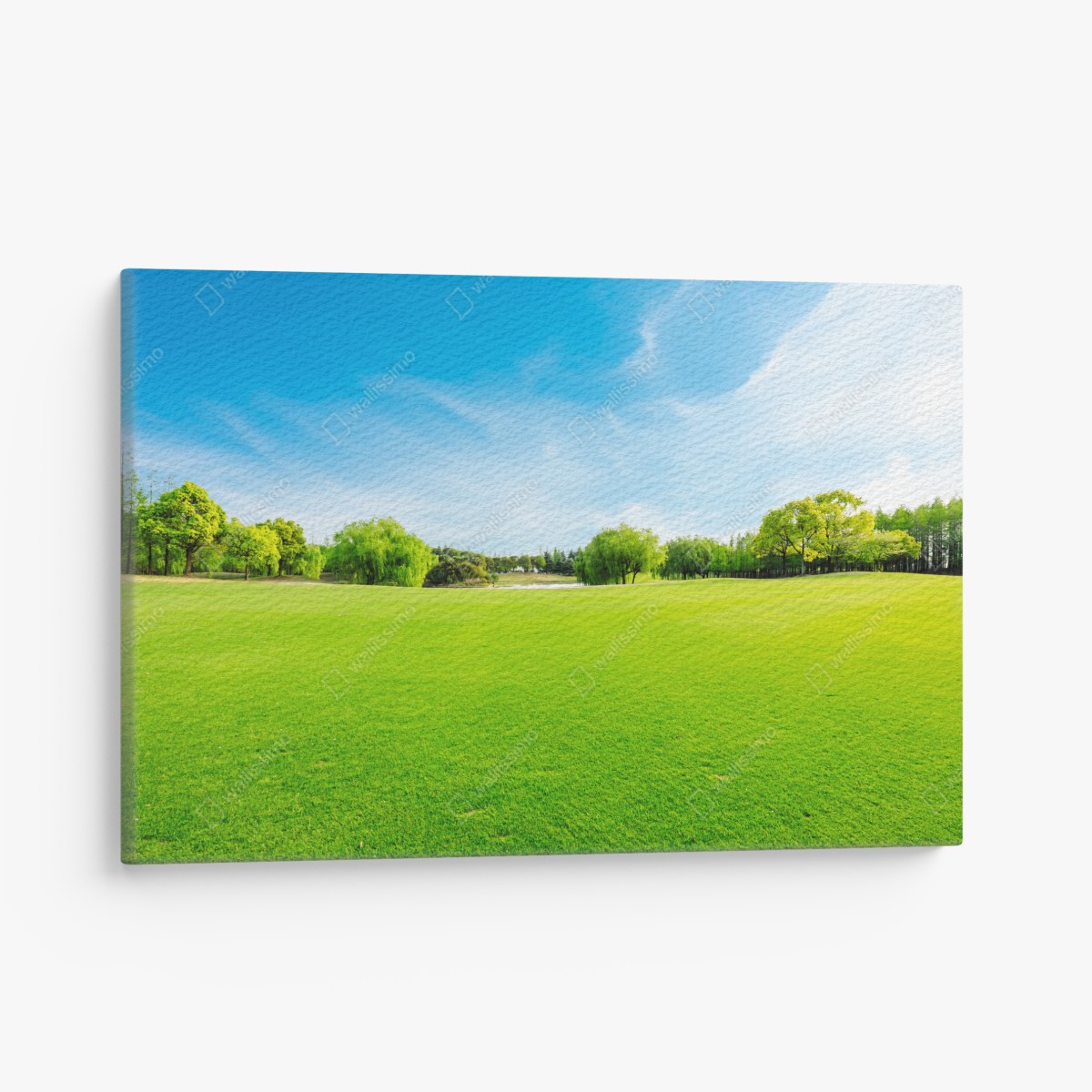 Canvas print serene green meadow under a blue sky