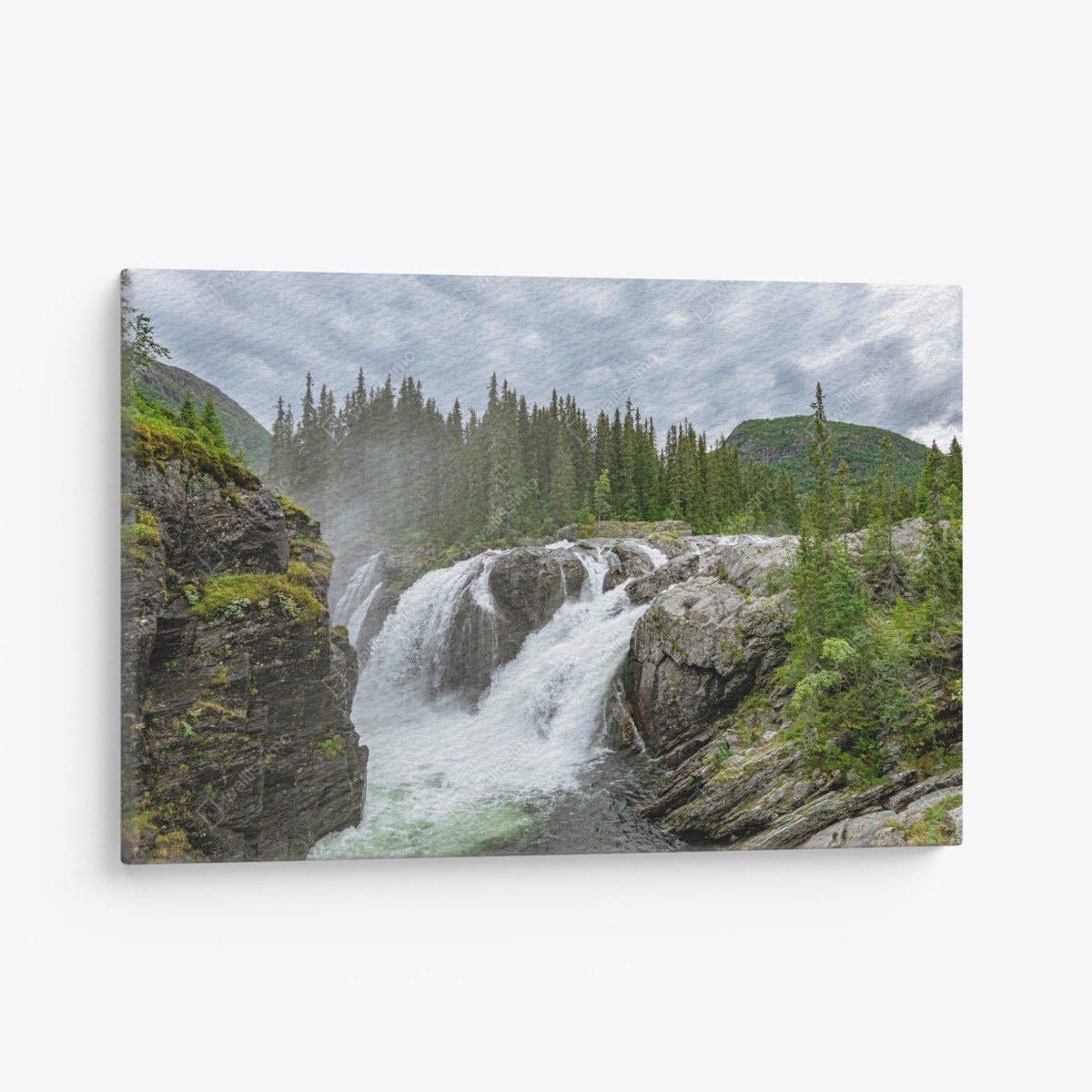 Canvas print misty waterfall in a lush pine forest