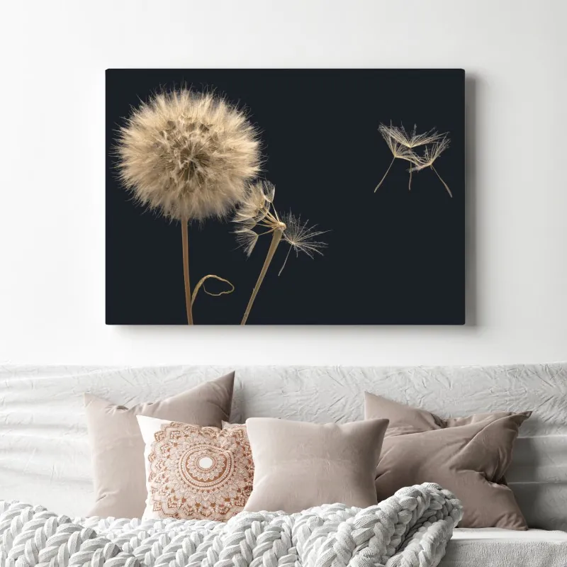 Obraz na płótnie delikatny dmuchawiec na ciemnym tle – Wallissimo® Obraz na płótnie delikatny dmuchawiec na ciemnym tle – Wallissimo®