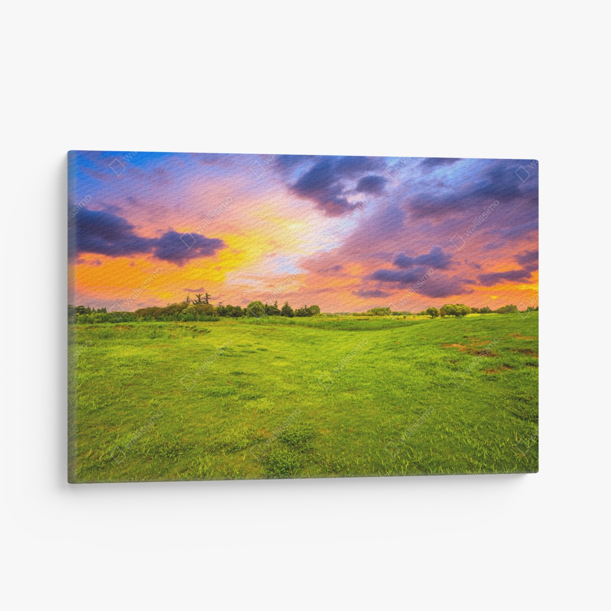 Canvas print sunset over green meadow