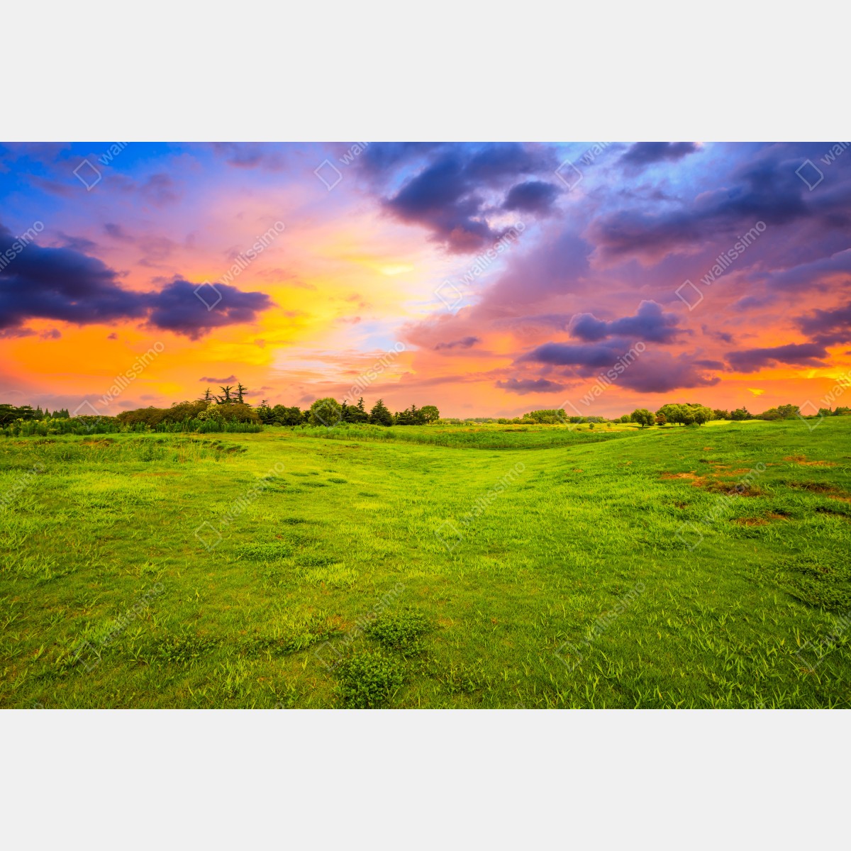 Obraz na płótnie zachód słońca nad zieloną łąką – Wallissimo® Obraz na płótnie zachód słońca nad zieloną łąką – Wallissimo®