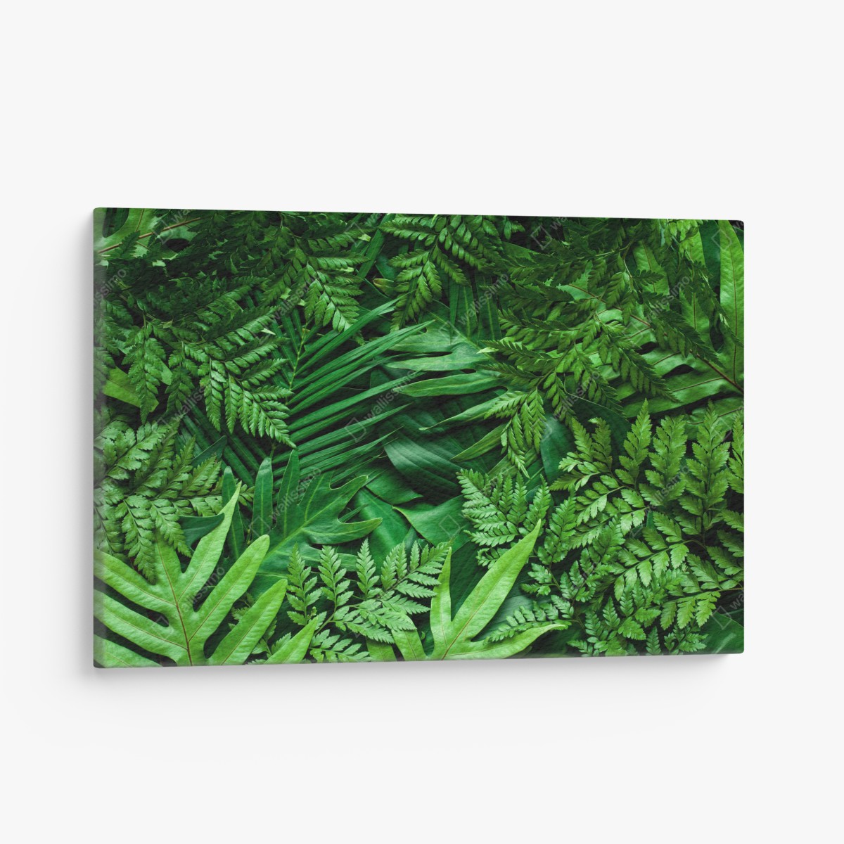 Canvas print lush green foliage pattern