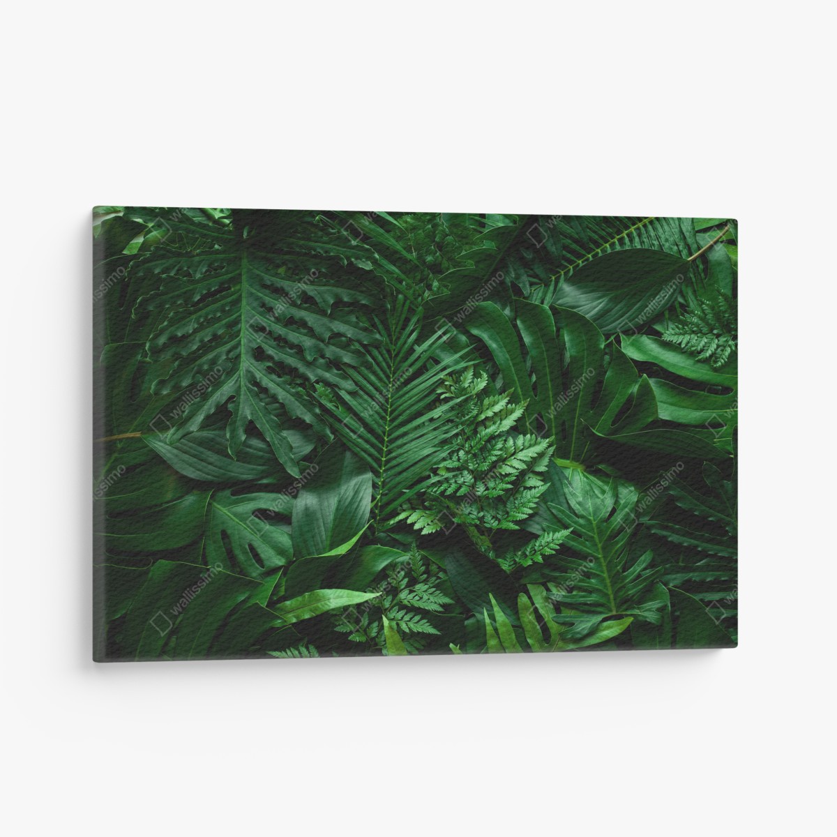 Canvas print lush tropical jungle leaves