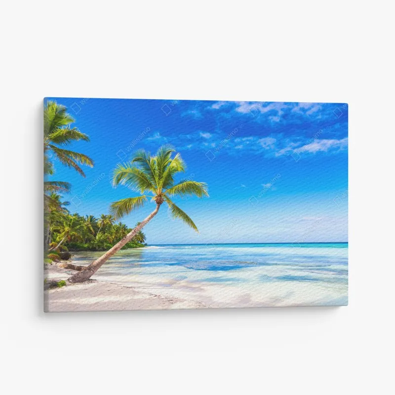 Obraz na płótnie tropikalna plaża z palmą