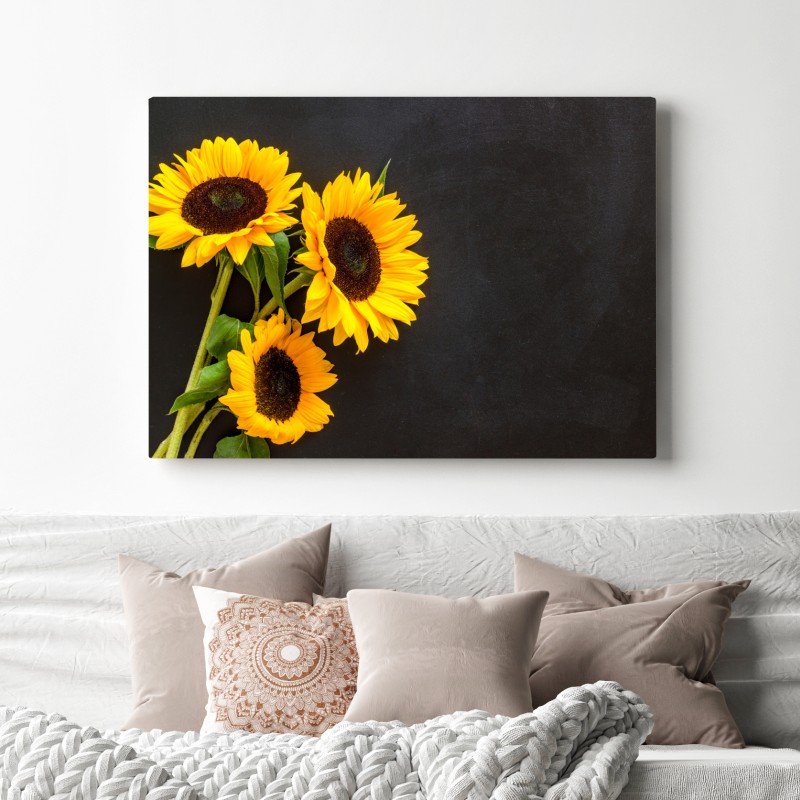 Obraz na płótnie bukiet słoneczników na czarnym tle – Wallissimo® Obraz na płótnie bukiet słoneczników na czarnym tle – Wallissimo®