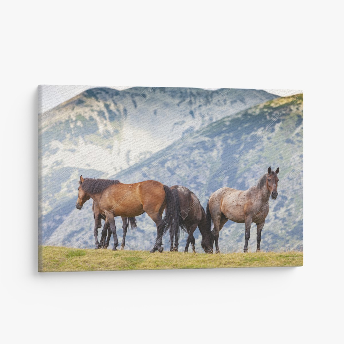 Canvas print horses on alpine hillside