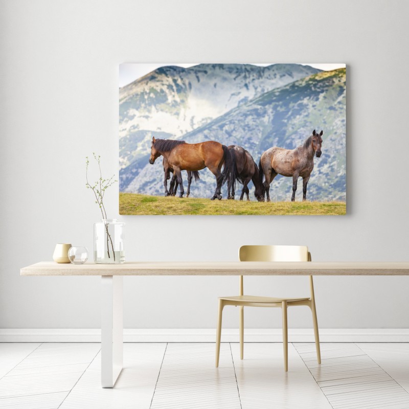 Obraz na płótnie konie na górskiej łące – Wallissimo® Obraz na płótnie konie na górskiej łące – Wallissimo®