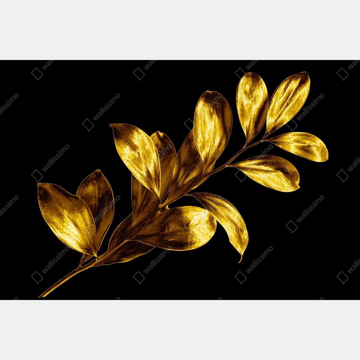 Obraz na płótnie złota gałąź liści na czarnym tle – Wallissimo® Obraz na płótnie złota gałąź liści na czarnym tle – Wallissimo®