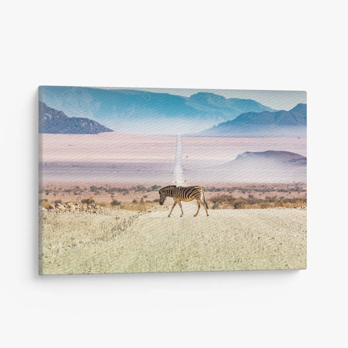Obraz na płótnie zebra na pustynnej drodze – Wallissimo® Obraz na płótnie zebra na pustynnej drodze – Wallissimo®