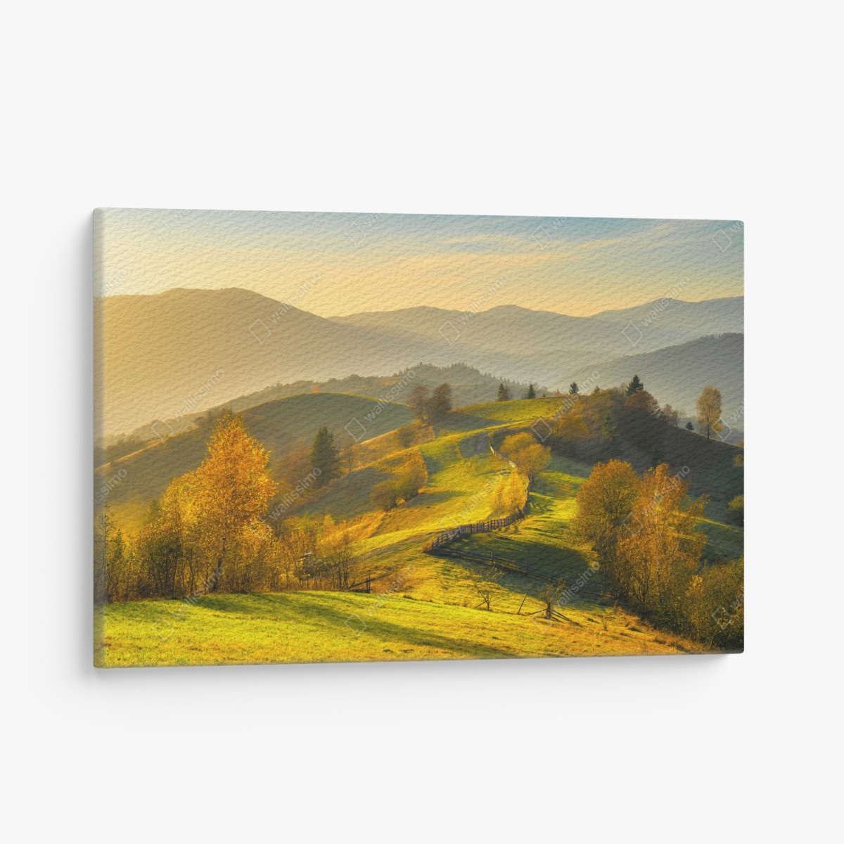 Canvas print golden autumn hills at sunset