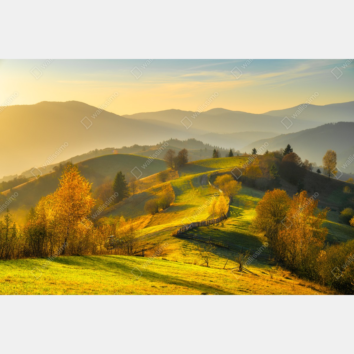 Obraz na płótnie złote jesienne wzgórza o zachodzie słońca – Wallissimo® Obraz na płótnie złote jesienne wzgórza o zachodzie słońca – Wallissimo®