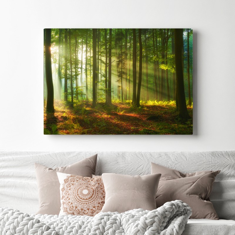 Obraz na płótnie poranne światło w zielonym lesie – Wallissimo® Obraz na płótnie poranne światło w zielonym lesie – Wallissimo®