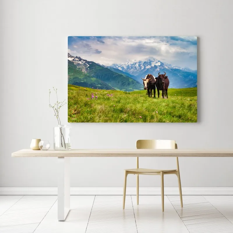 Obraz na płótnie alpejska łąka z pasącymi się krowami – Wallissimo® Obraz na płótnie alpejska łąka z pasącymi się krowami – Wallissimo®